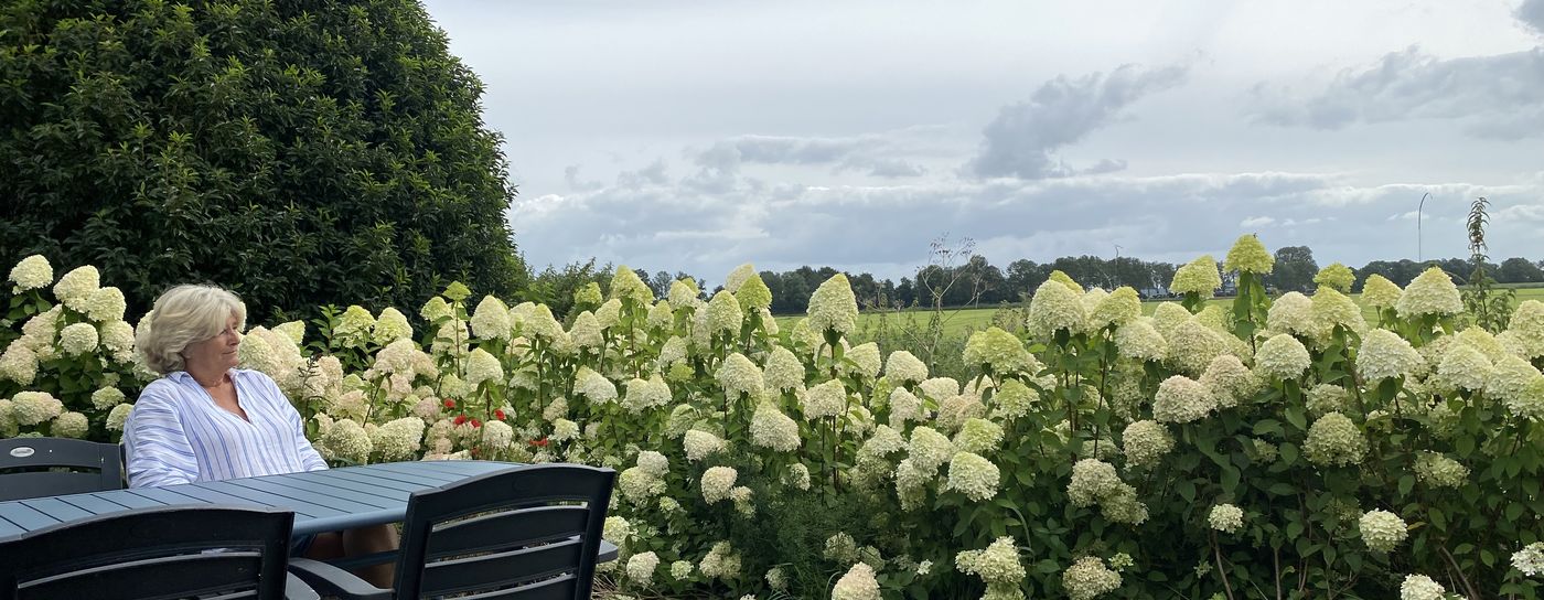 Ontdek Friesland met ons huisje en sloep Arrangement